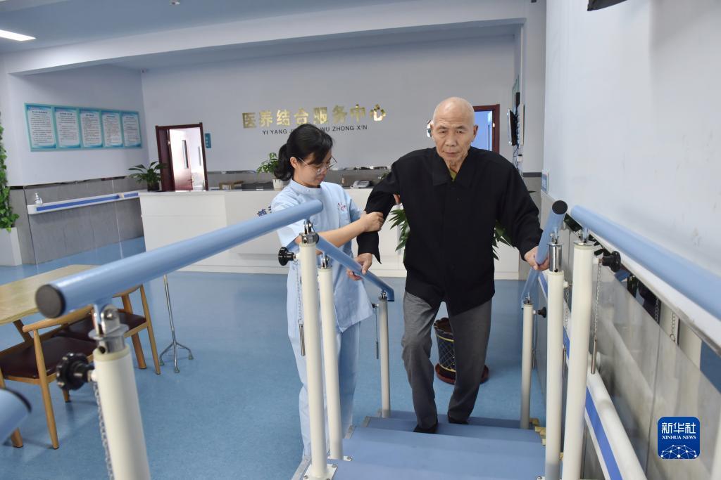 新宝6代理